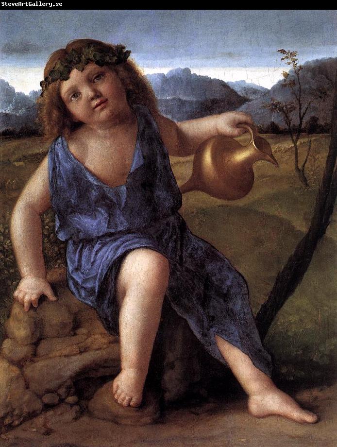 BELLINI, Giovanni Young Bacchus ffh